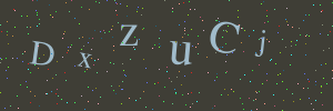 Validation image